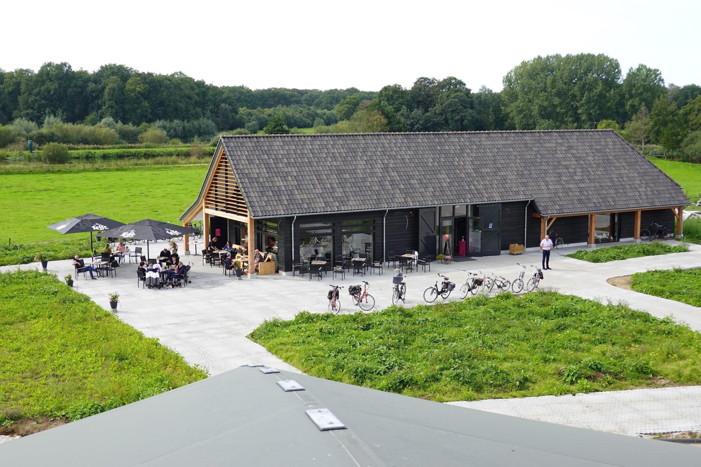 Koe Safari Erve Vechtdal